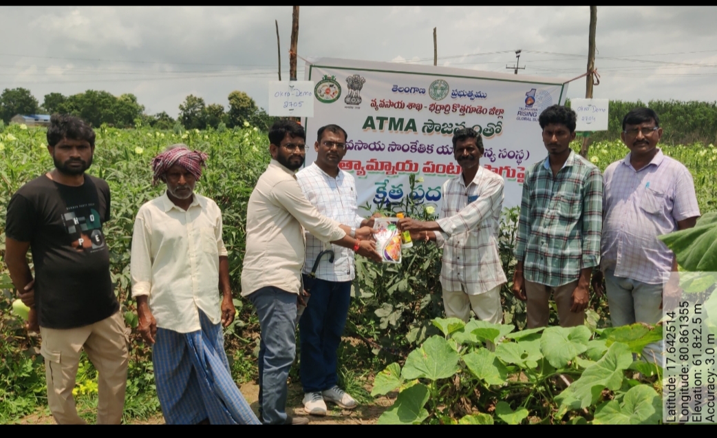 ప్రత్యామ్నాయ పంటల సాగుతో రైతులకు ప్రయోజనం